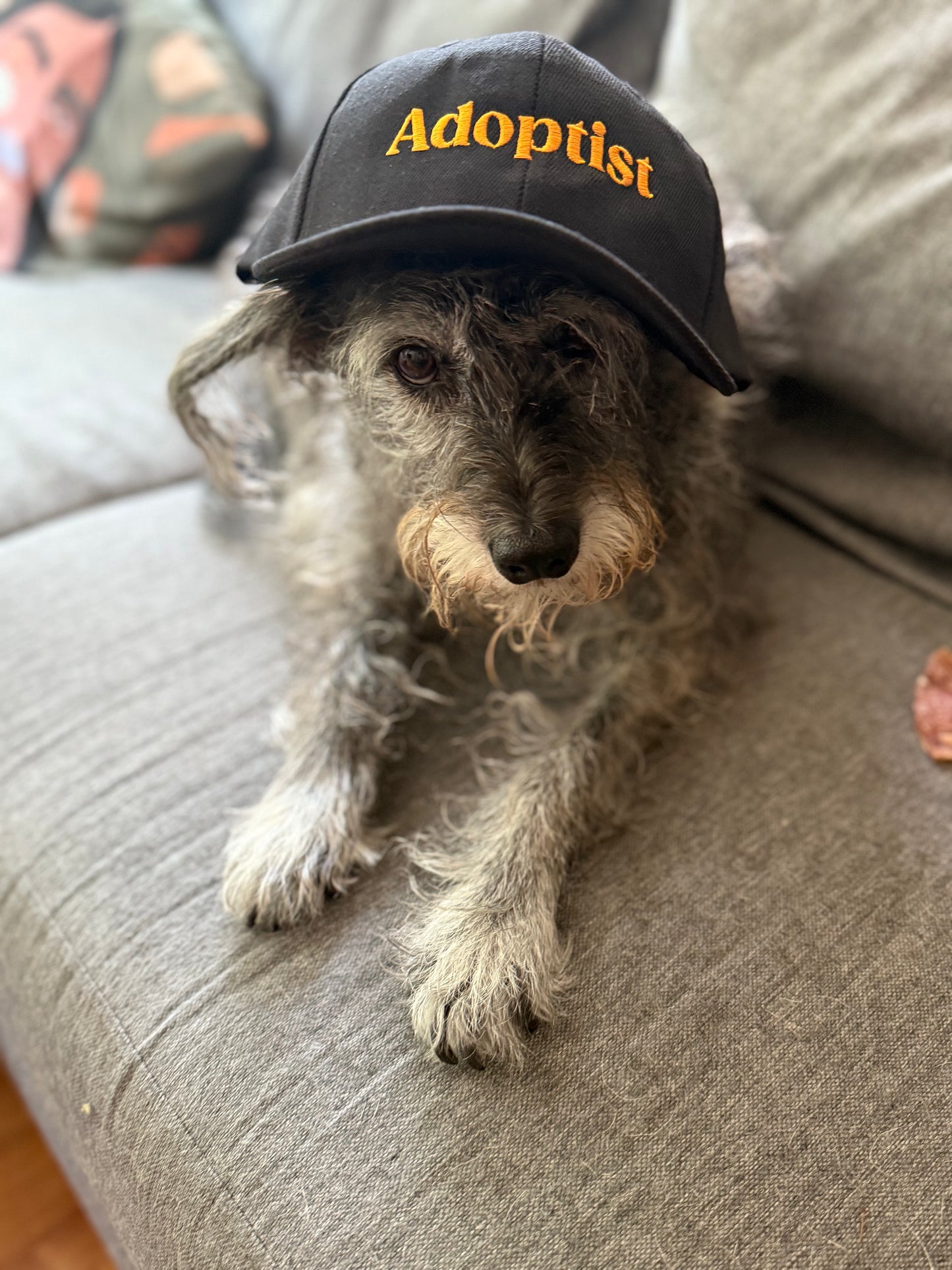 GORRA ADOPTIST