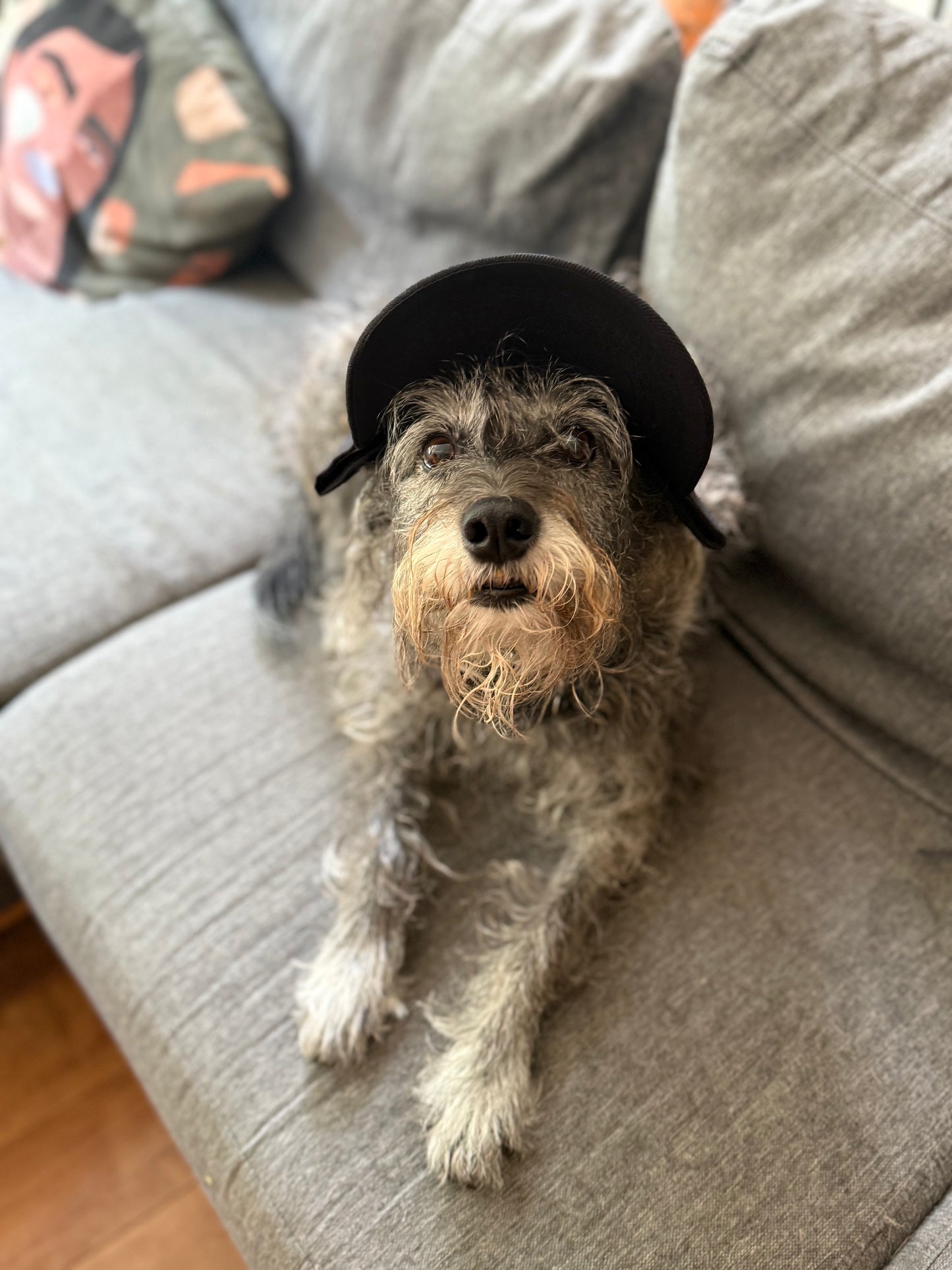 GORRA ADOPTIST