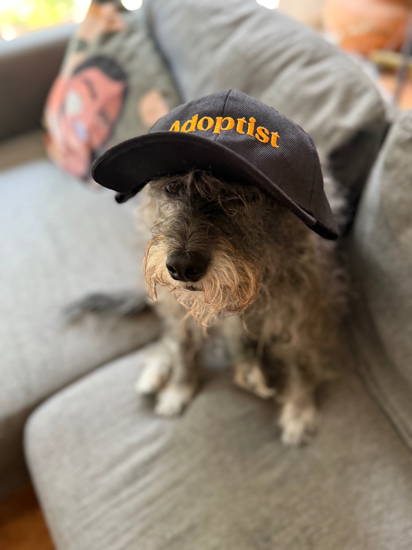 GORRA ADOPTIST